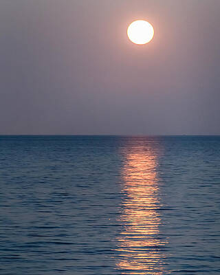 Wall Art - Photograph - Full moon reflection by SAURAVphoto Online Store