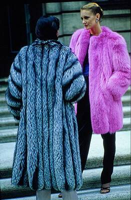 Wall Art - Photograph - Fur Fit Pink and Silver by Douglas Hopkins