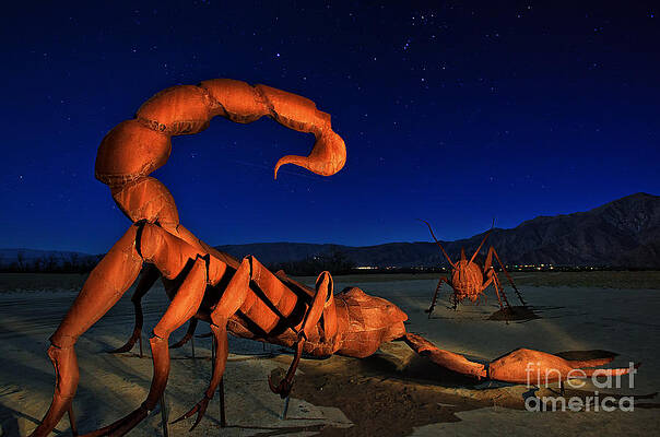 Galleta Meadows Estate Sculptures Borrego Springs by Sam Antonio Galleta Meadows Estate Sculptures Borrego Springs by Sam Antonio