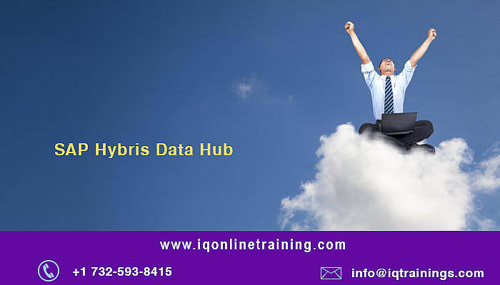 Get Trained in SAP Hybris Data Hub Online Training from Experienced Trainers by sofia