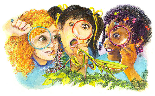 Girls Who Like Bugs by Sigrid Tidmore