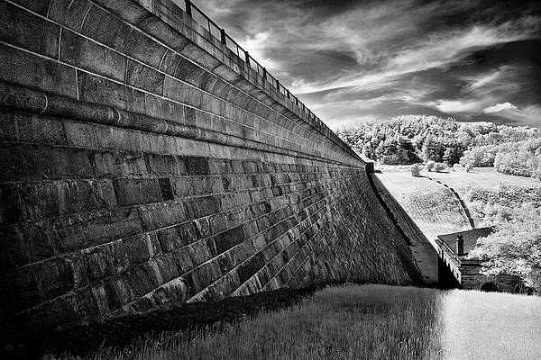 Give A Dam by Luke Moore Give A Dam by Luke Moore