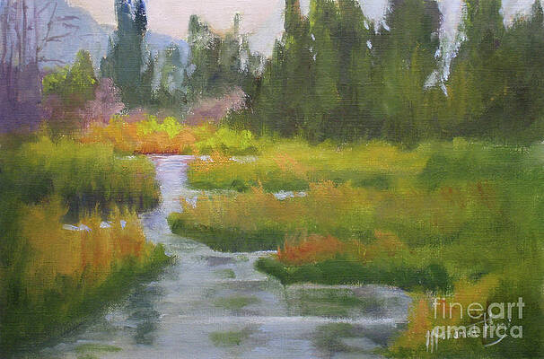 Glorious Pond by Mohamed Hirji Glorious Pond by Mohamed Hirji