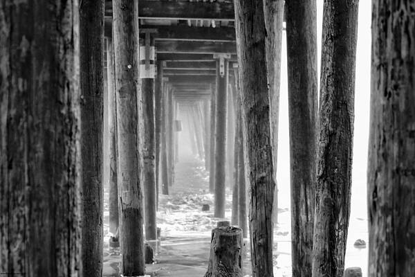 Wall Art - Photograph - Go Deep by Lora Lee Chapman