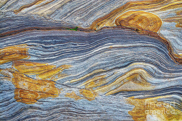 Wall Art - Photograph - Go With The Flow by Tim Gainey