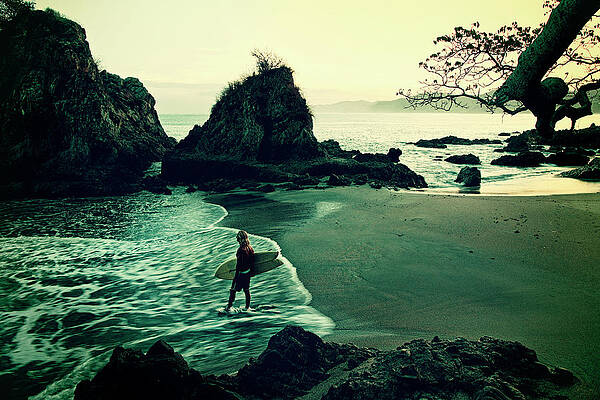 Wall Art - Photograph - Go Your Own Way by Nik West
