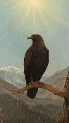 Golden Eagle Print by Joseph Rusling Meeker