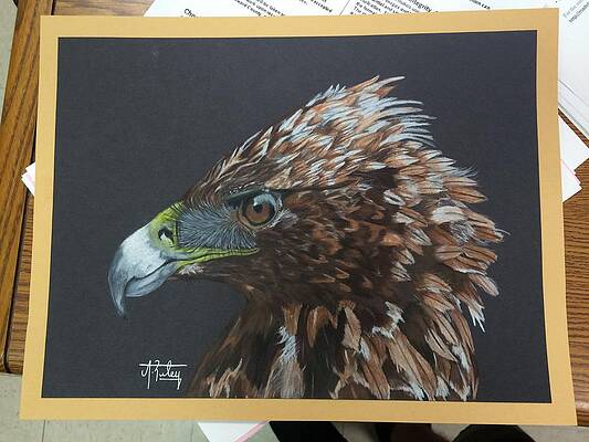 Golden Eagle Drawings (Page #2 of 2) | Fine Art America