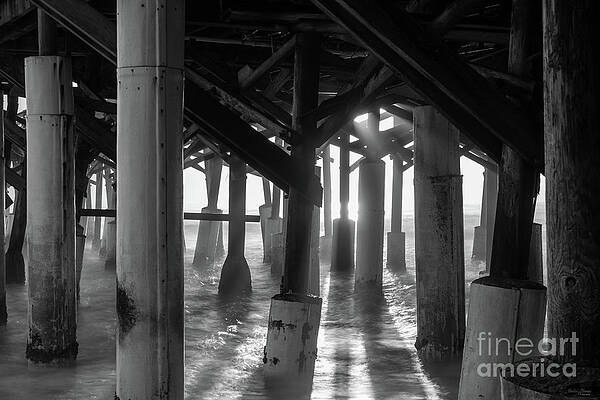 Wall Art - Photograph - Golden Light Shines Through Grayscale by Jennifer White