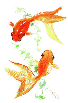 Yin Yang Fish Paintings Fine Art America