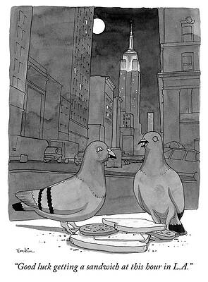 Pigeons Drawings for Sale