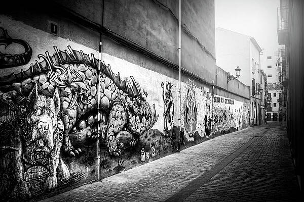 Wall Art - Photograph - Graffiti Street Valencia Spain in Black and White  by Carol Japp