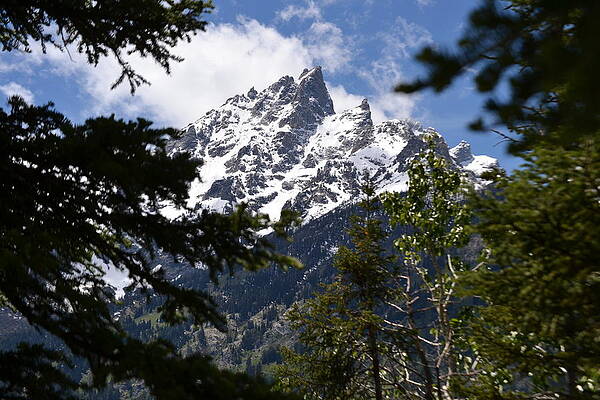 Grand Tetons by Michael Plymale
