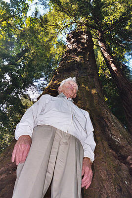 Grandpa Joe Amongst the Mighty Sequoia by Mike OConnell