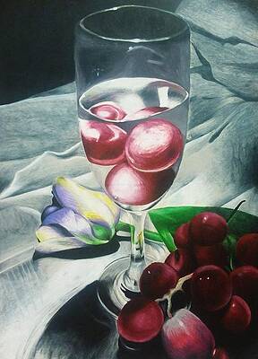Wall Art - Drawing - Grape Tulip  by Corina Castillo