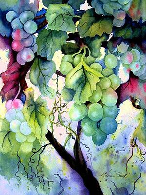 Grapes II by Karen Stark Grapes II by Karen Stark