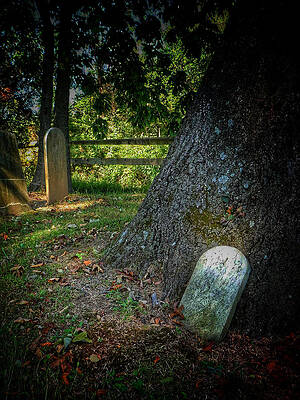 Wall Art - Photograph - Graveyard Shift by Kathi Isserman