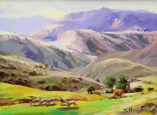 Wall Art - Painting - Grazing in the Salmon River Mountains by Steve Henderson