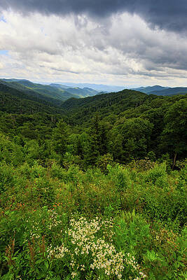 Wall Art - Photograph - Great Smokies by Bryan Bzdula