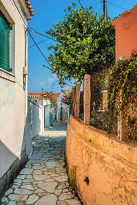Wall Art - Photograph - Greece - Afionas Alley with Citrus Tree by Alexander Kunz