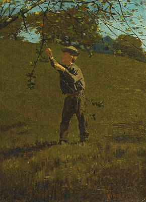 Green Apples Print by Winslow Homer