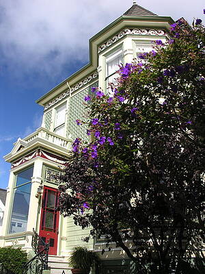 Wall Art - Photograph - Green House with purple flowers by C Thomas Cooney