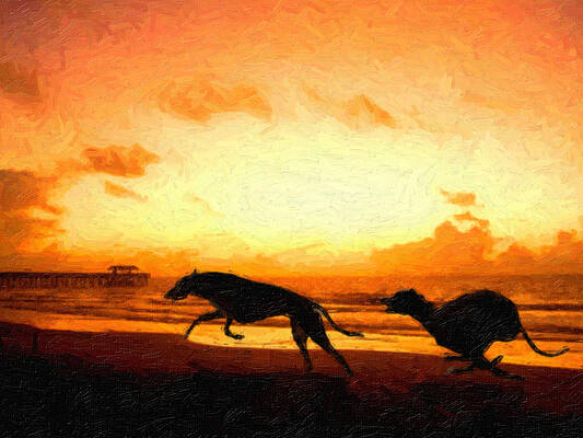 Wall Art - Painting - Greyhounds on beach by Michael Tompsett