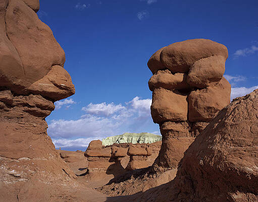 Wall Art - Photograph - Grumpy Old Men by Tom Daniel
