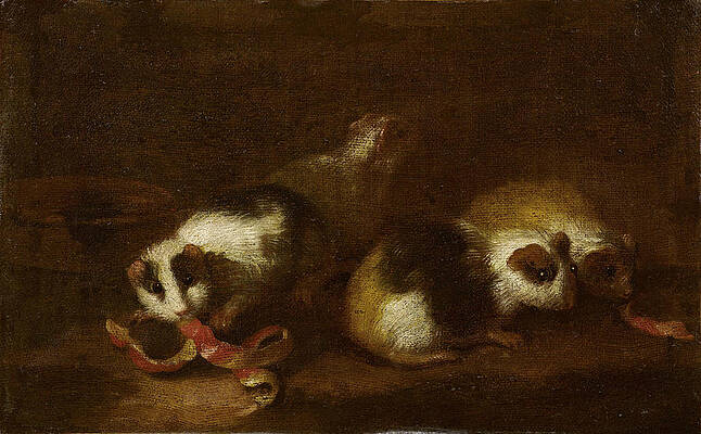 Guinea Pig Paintings Fine Art America