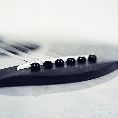 Wall Art - Photograph - guitar II by Priska Wettstein