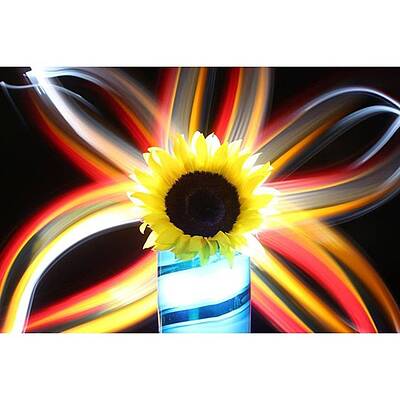 Wall Art - Photograph - Happy Saturday! Spring Is Near:) by Andrew Nourse