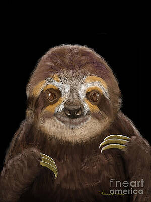 Happy Three Toe Sloth by Thomas J Herring Happy Three Toe Sloth by Thomas J Herring
