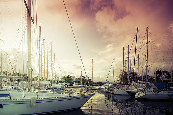 Harbor by Radek Spanninger Harbor by Radek Spanninger
