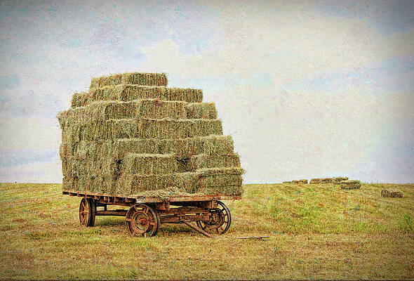 Wall Art - Photograph - Hard Work by Pete Rems
