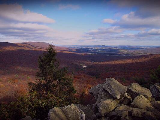 Hawk Mountain Sanctuary by David Dehner Hawk Mountain Sanctuary by David Dehner
