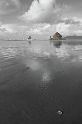 Wall Art - Photograph - Haystack Shell by Dylan Punke