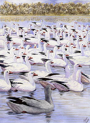 Wall Art - Painting - Heading North by Catherine G McElroy