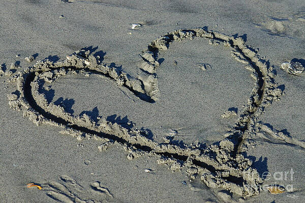 Wall Art - Photograph - Heart In The Sand by Jennifer White