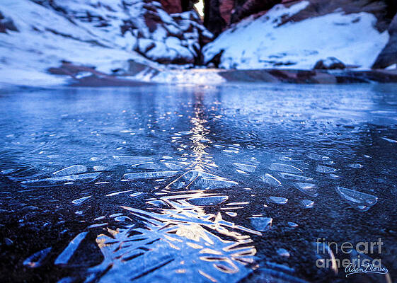 Heart of Ice by Adam Morsa Heart of Ice by Adam Morsa