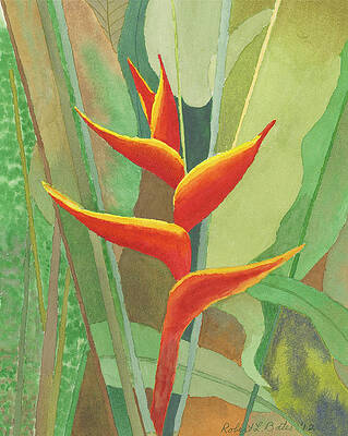 Tropical Beauty - Red and Green Heliconia Painting by Maria