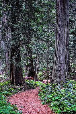 Heritage Trail by Roxy Hurtubise Heritage Trail by Roxy Hurtubise