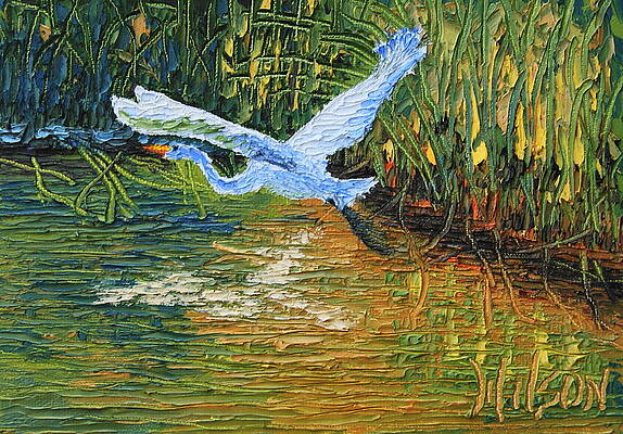 Heron In Flight by Chrys Wilson Heron In Flight by Chrys Wilson