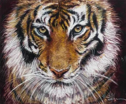 Clemson Tigers Paintings for Sale - Fine Art America