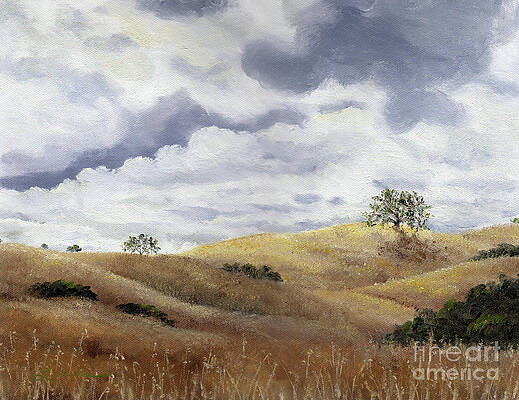 Wall Art - Painting - Hills of Fremont Older by Laura Iverson