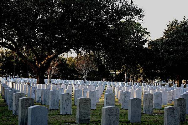 Home of the Brave by Debra Bradley