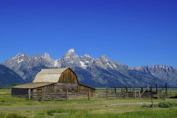 Home on the Range by Matthew Urbatchka Home on the Range by Matthew Urbatchka