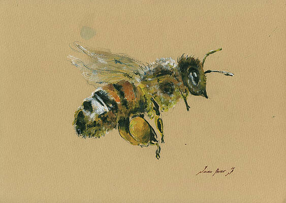 Bee Paintings Fine Art America