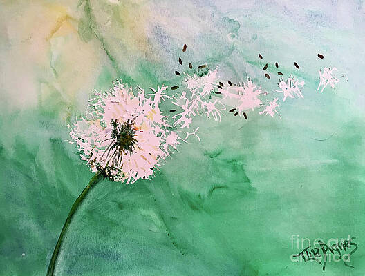 Dandelion Puff Paintings Fine Art America