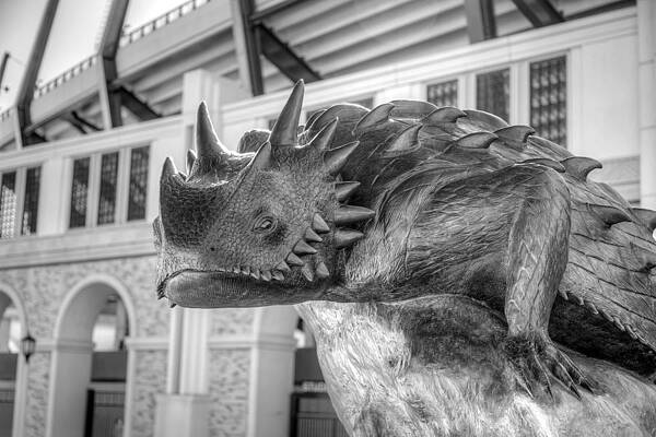 Horned Frog by Mark McKinney Horned Frog by Mark McKinney