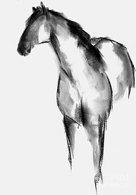 Abstract Horse Drawings Fine Art America